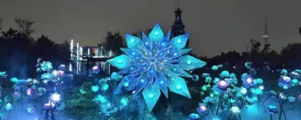 煙火燈光秀