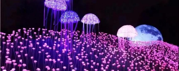 夜游燈光秀