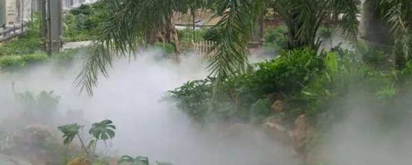 霧森系統